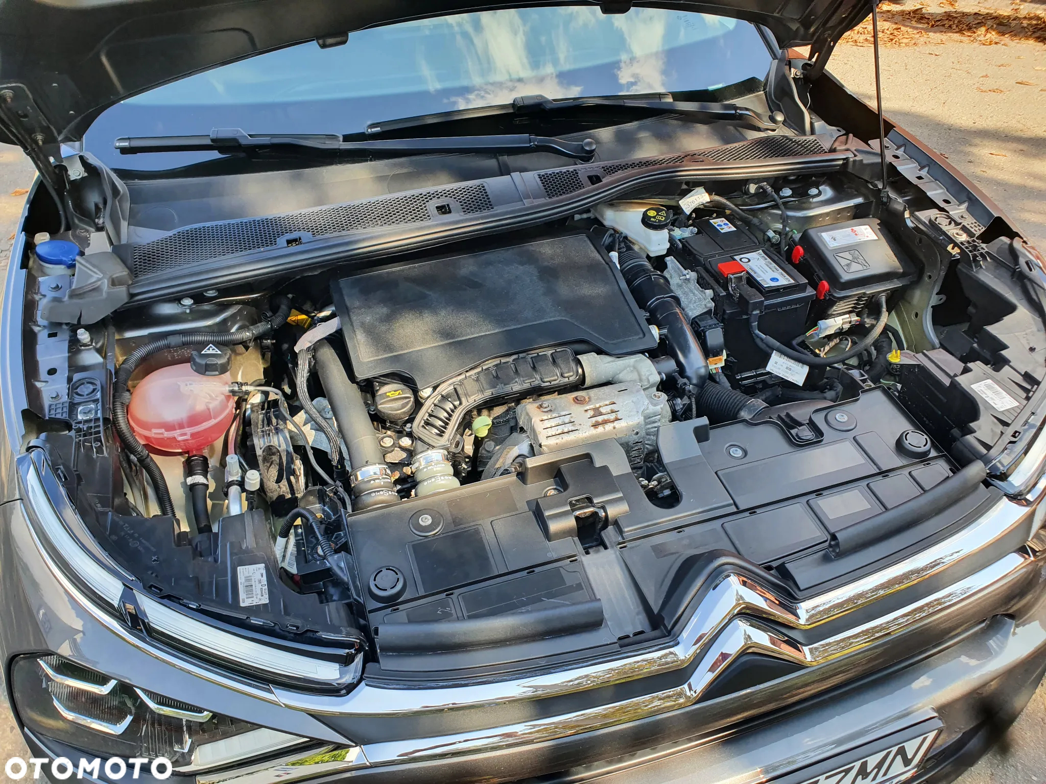 Citroën C4 - 24