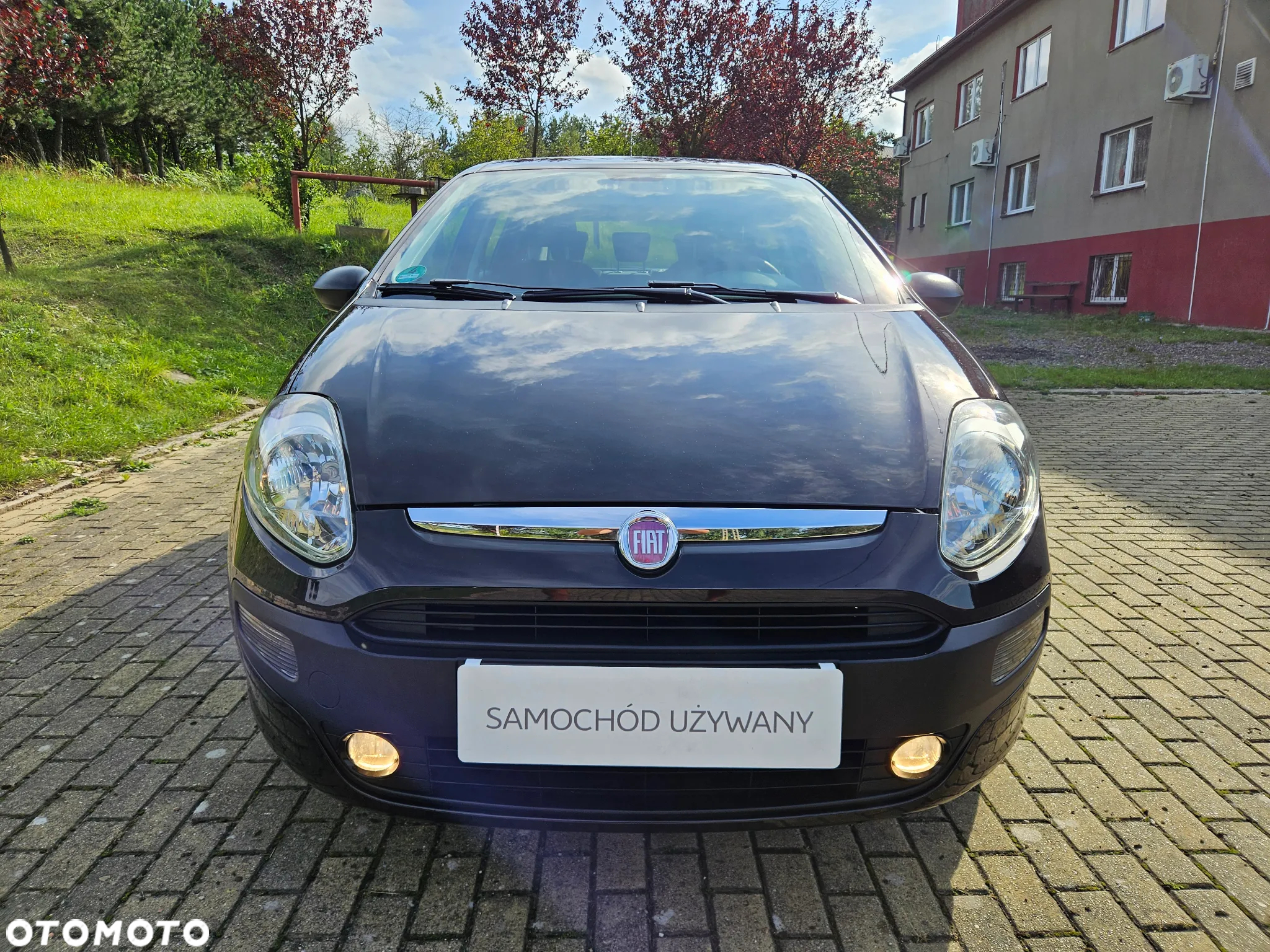 Fiat Punto 1.2 Easy - 3