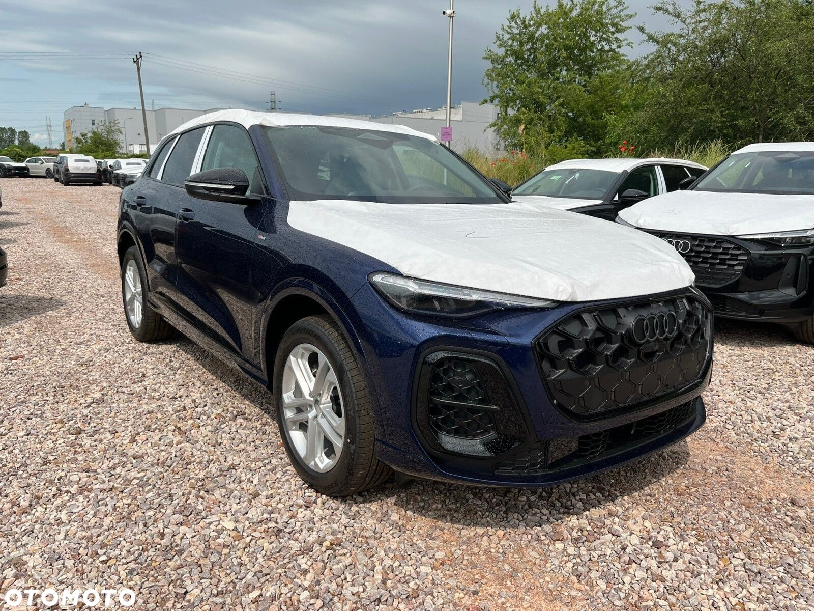 Audi Q5 - 8