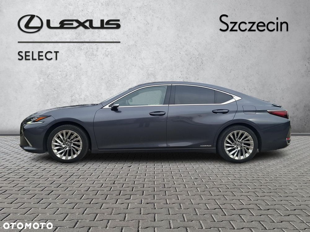 Lexus ES 300h Omotenashi - 2