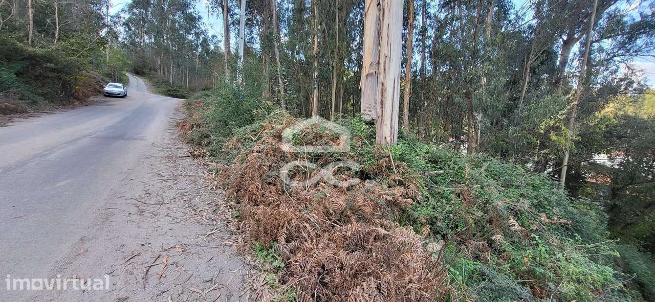 Terreno em Pousada de Saramagos - Grande imagem: 3/12
