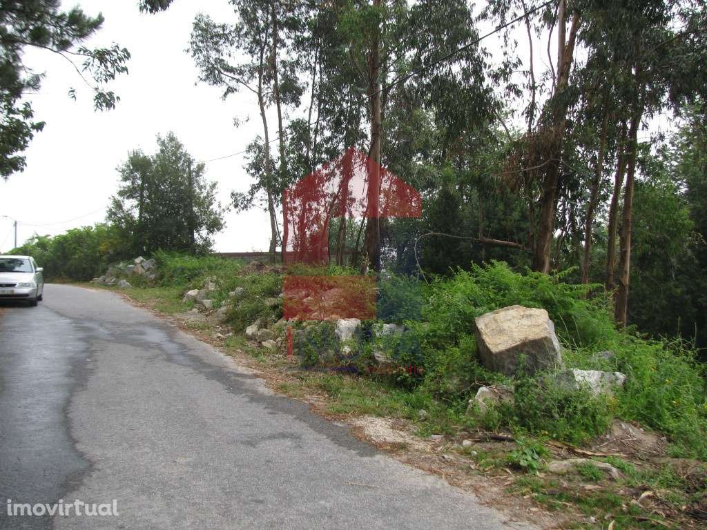 Terreno para construção, Aboim da Nóbrega - Grande imagem: 3/3
