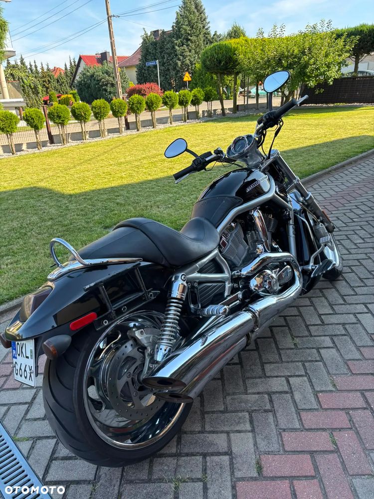 Harley-Davidson V-Rod Street Rod - 7
