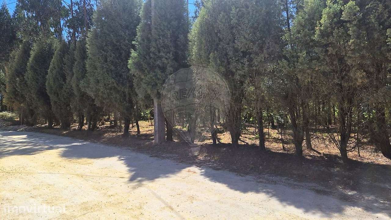 Terreno  para venda - Grande imagem: 5/20
