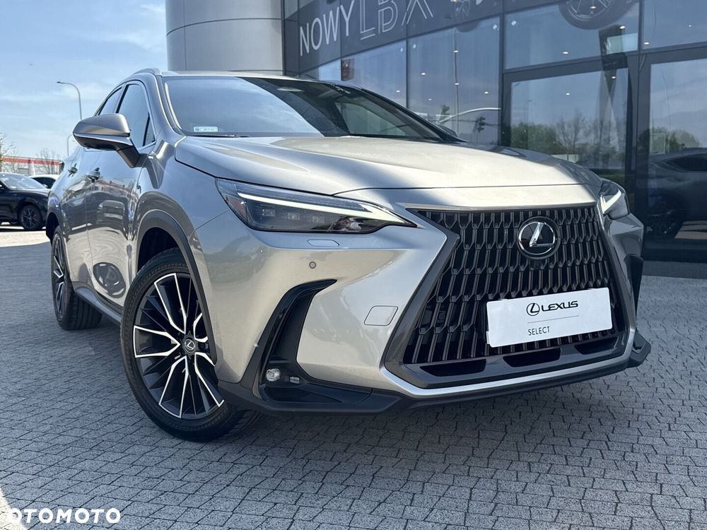 Lexus NX - 27