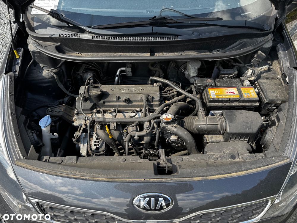 Kia Rio - 10