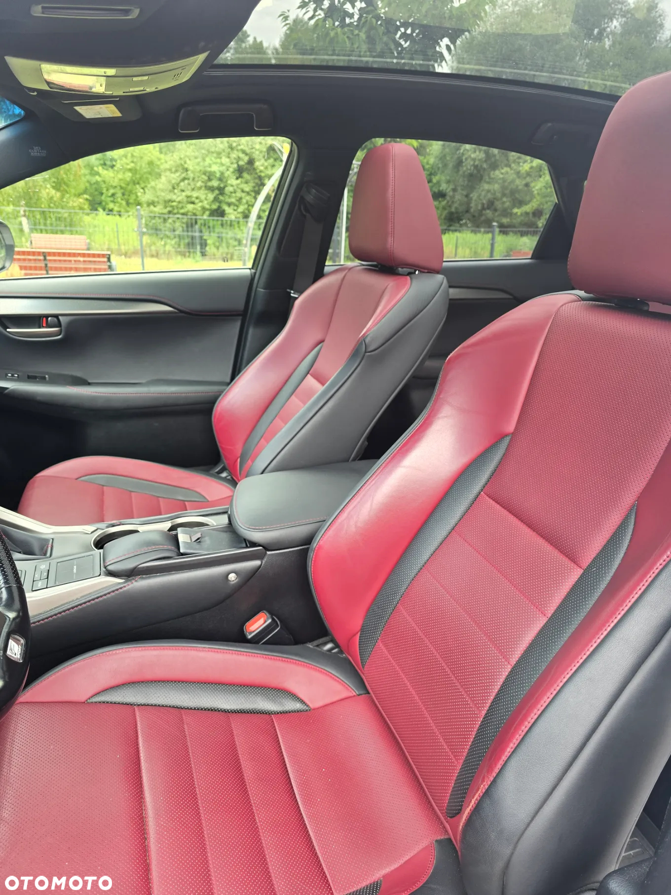 Lexus NX 300h F Sport Edition AWD - 14