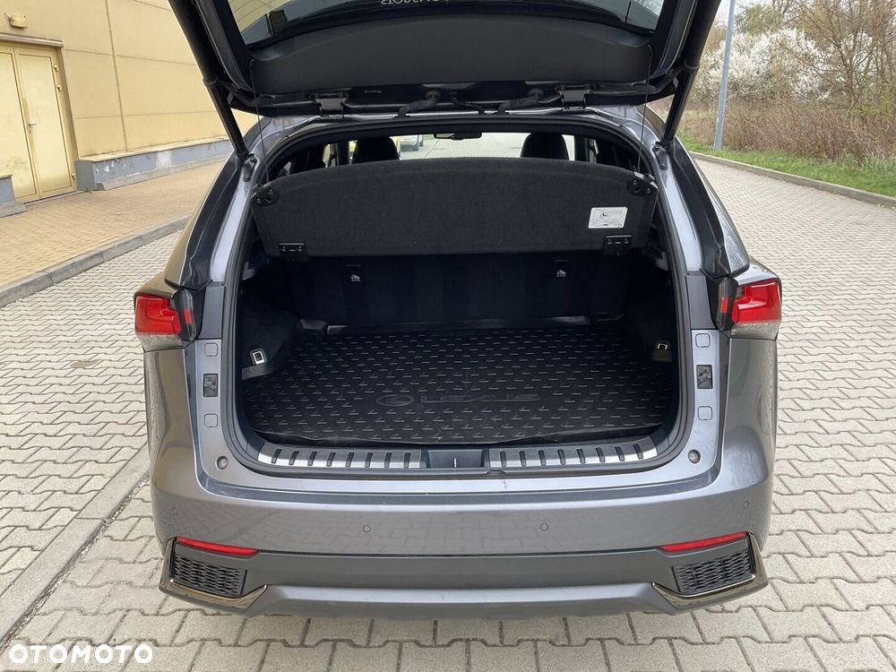 Lexus NX 300h F Sport Edition AWD - 34