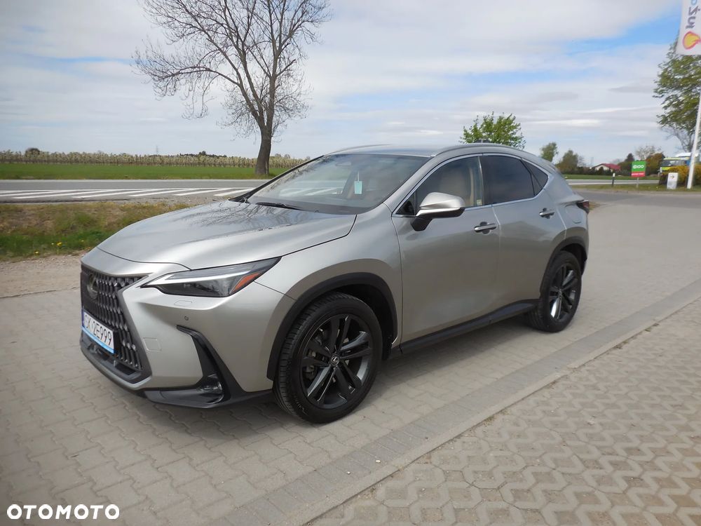 Lexus NX - 3