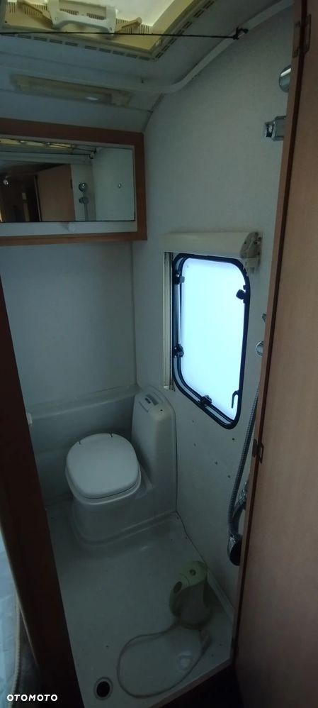 Coachman Amara - 7