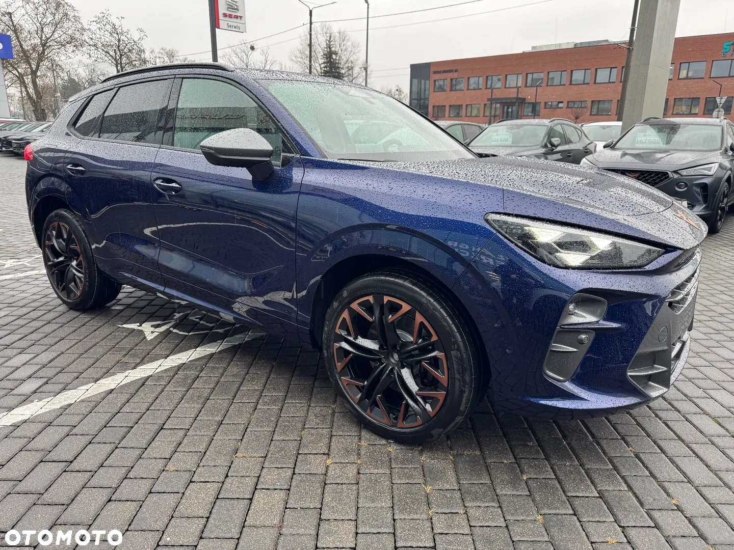 Cupra Terramar 2.0 TSI 4Drive DSG - 5