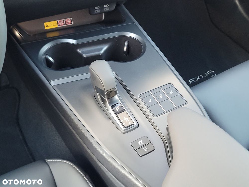 Lexus UX 300h F Sport Design - 19