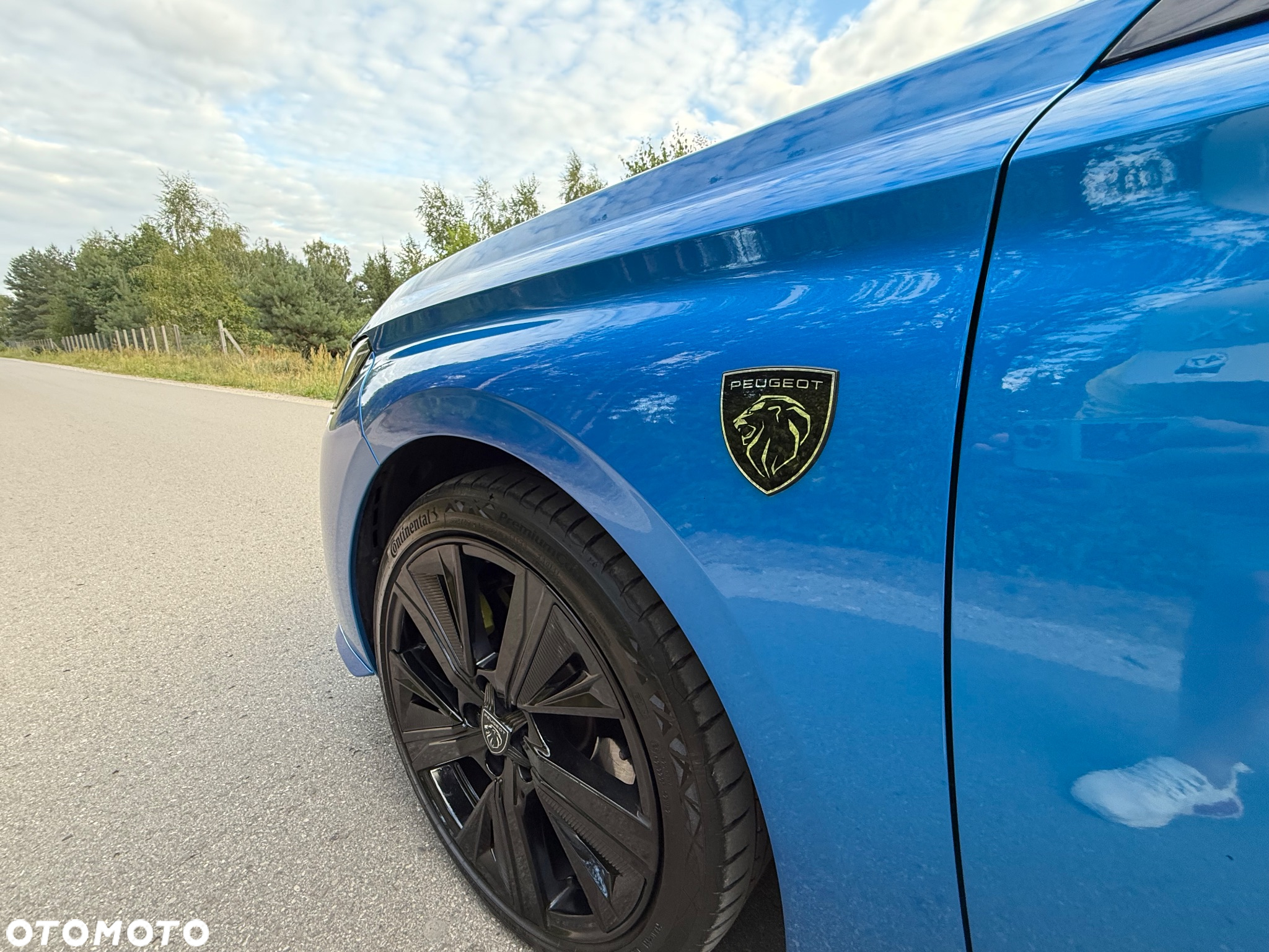 Peugeot 308 1.6 Hybrid PHEV GT EAT8 - 14