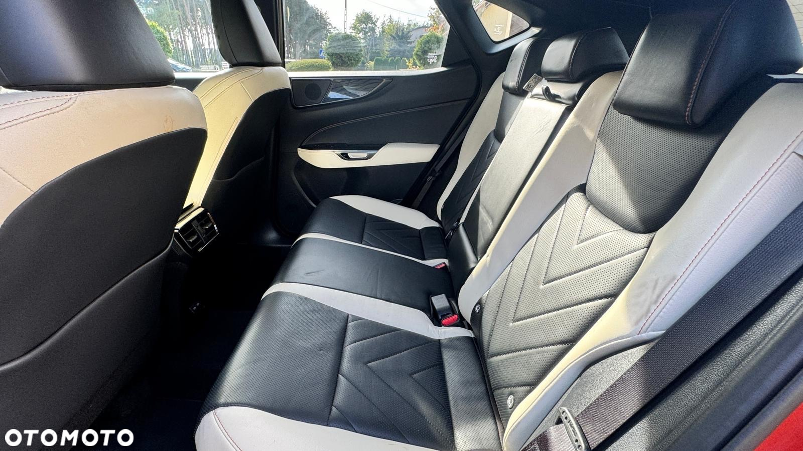 Lexus NX - 18