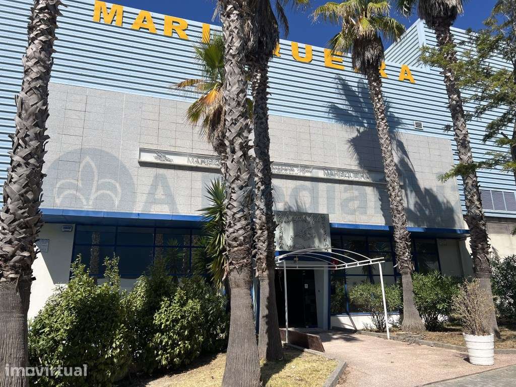 Prédio em propriedade total para atividade comercial - Grande imagem: 3/10