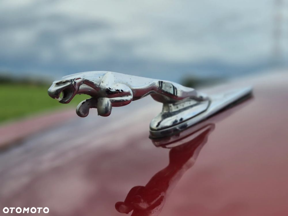 Jaguar XJ Super V8 (LWB) - 24