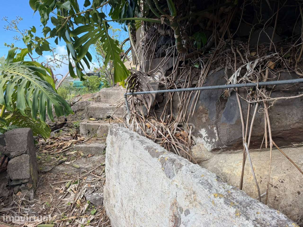 Casa térrea para recuperar com terreno agrícola - Grande imagem: 2/10
