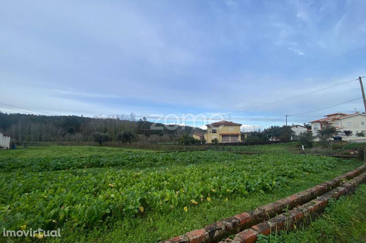 Terreno Urbanizável em Vale de Avim - Moita (Anadia) - Grande imagem: 4/15