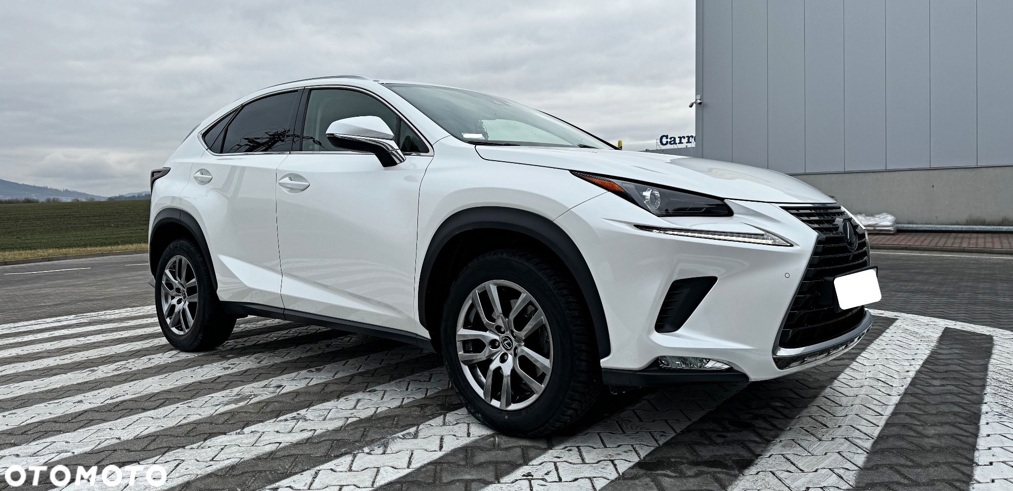 Lexus NX 300 Elegance Optimum AWD - 1