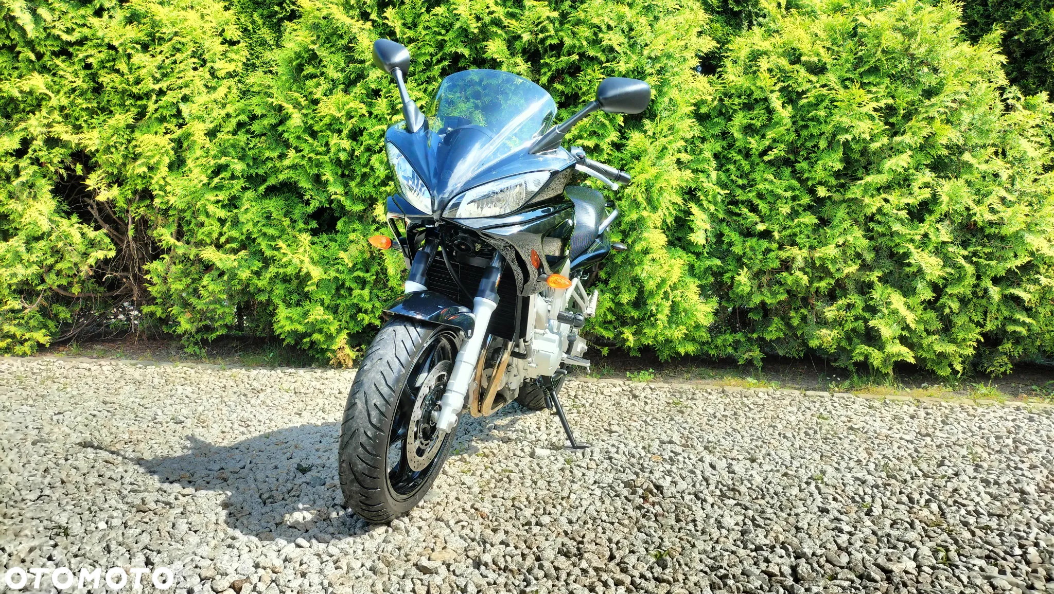 Yamaha FZ6 - 5