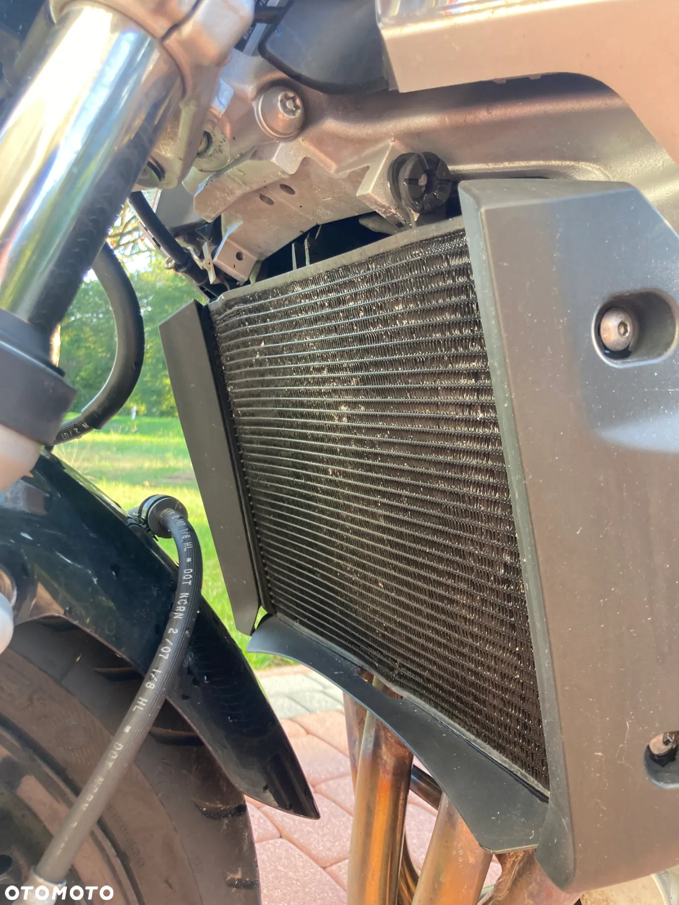 Suzuki GSR - 19