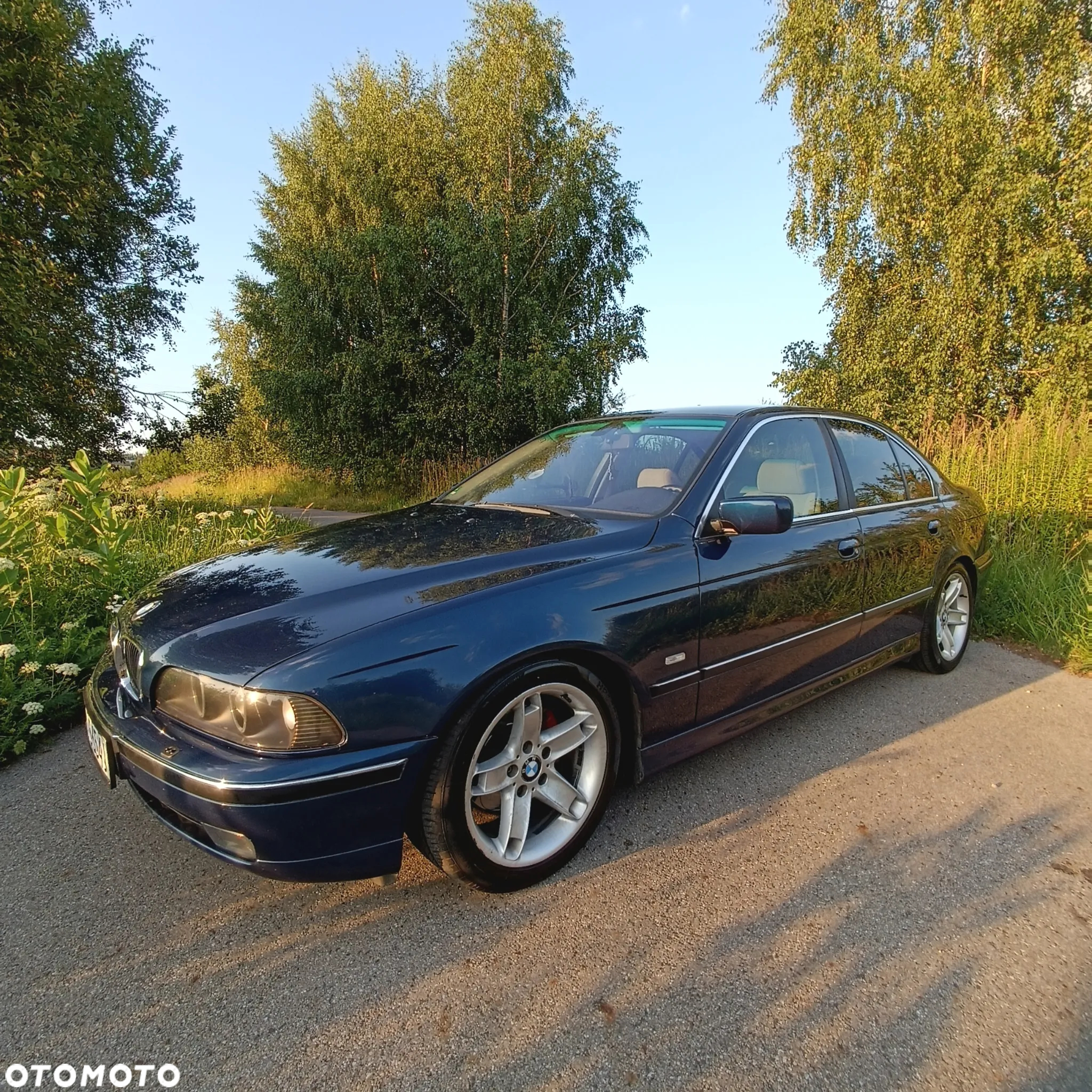 BMW Seria 5 - 5