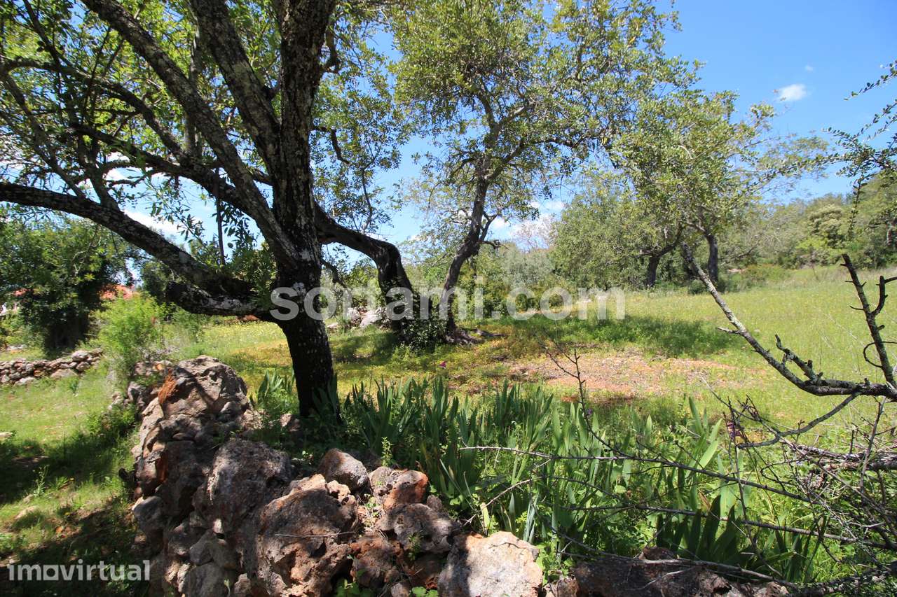 Terreno Para Construção  Venda em Querença, Tôr e Benafim,Loulé - Grande imagem: 5/7