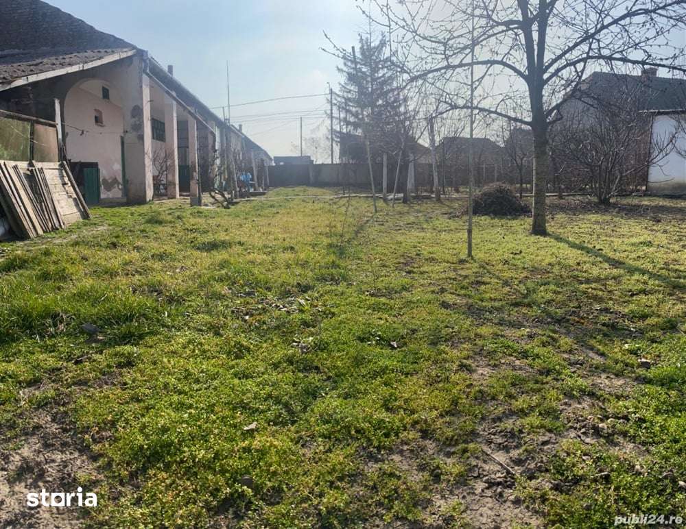 Casa vânzare Cenei 25 km Timișoara - Imagine principală: 2/5