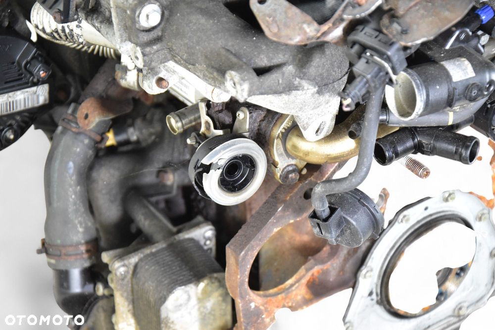 Silnik RENAULT TRAFIC II OPEL VIVARO A PRIMASTAR 2.0 DCI M9R786 VAT - 7