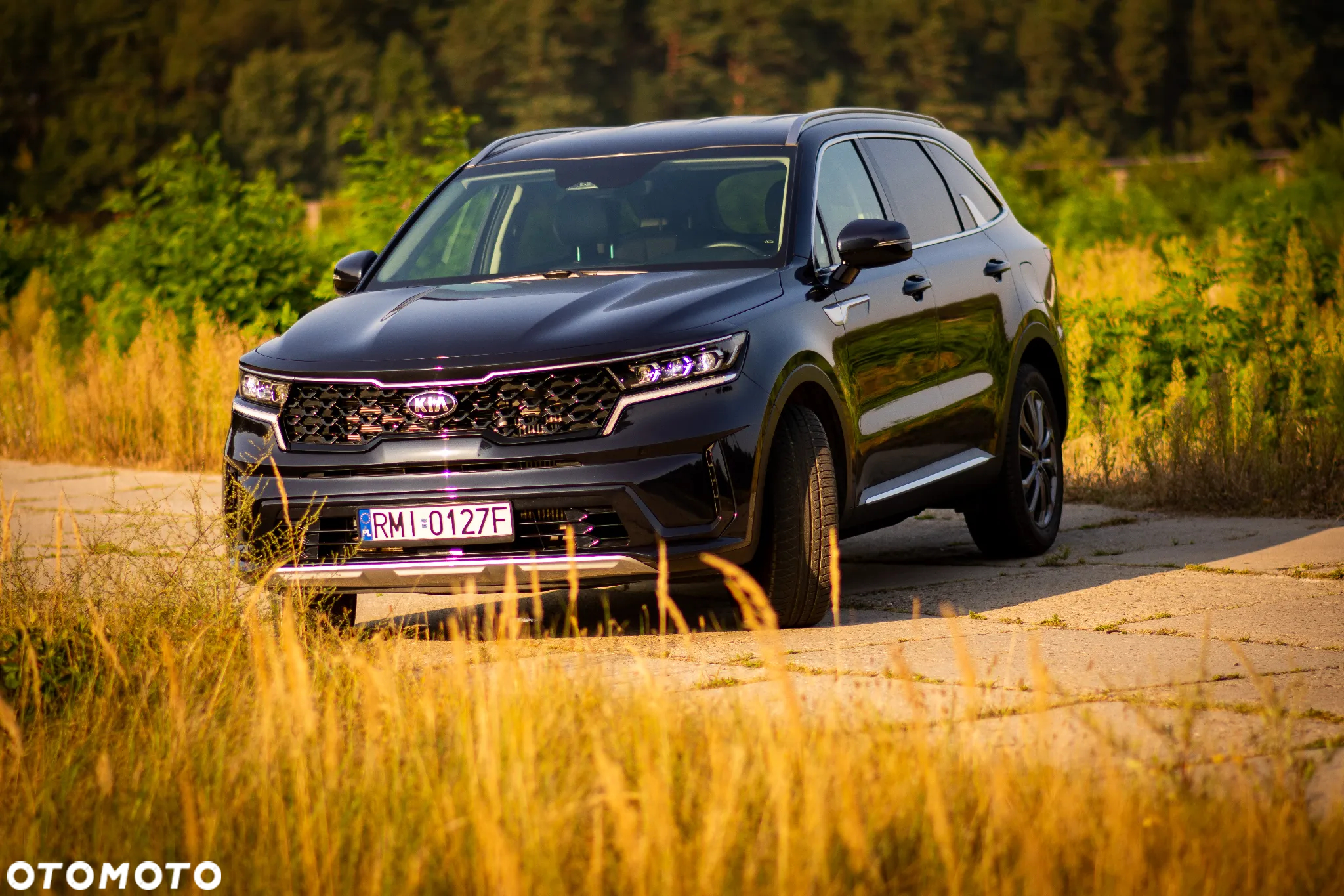Kia Sorento - 2