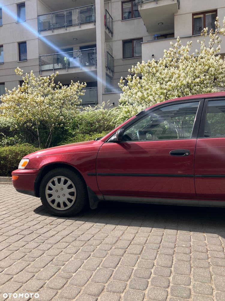 Toyota Corolla - 31