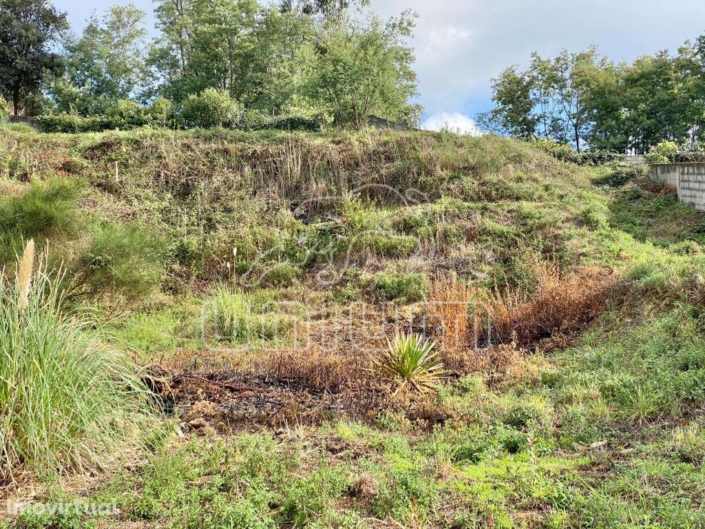 Terreno - Grande imagem: 4/4