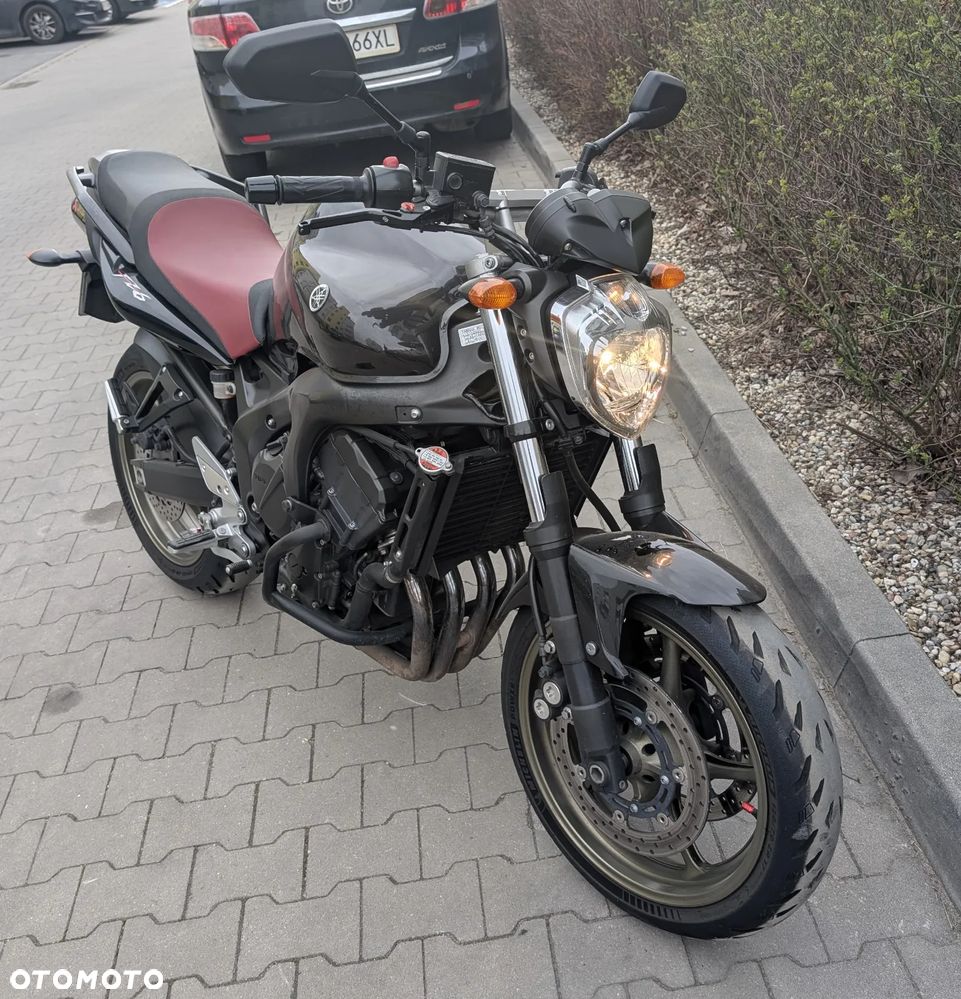 Yamaha FZ6 - 3