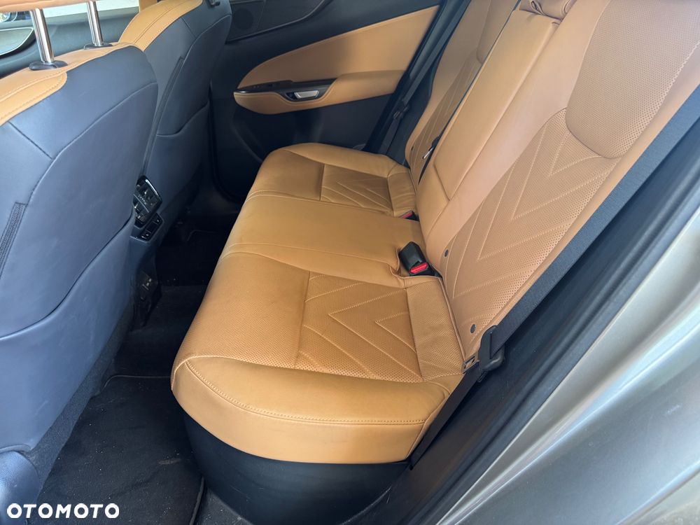 Lexus NX 350h F Sport AWD - 23