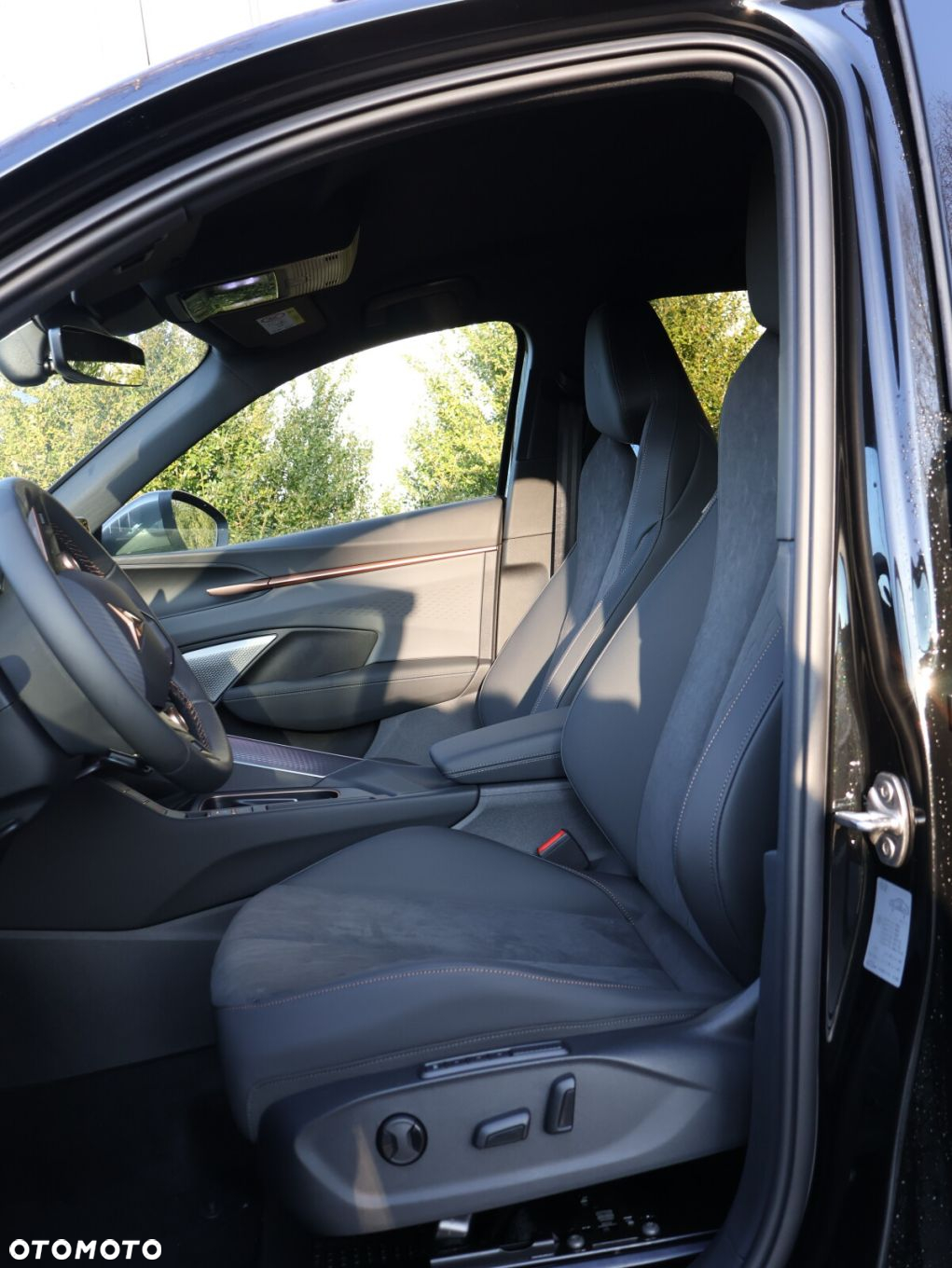 Cupra Terramar 2.0 TSI 4Drive DSG - 20
