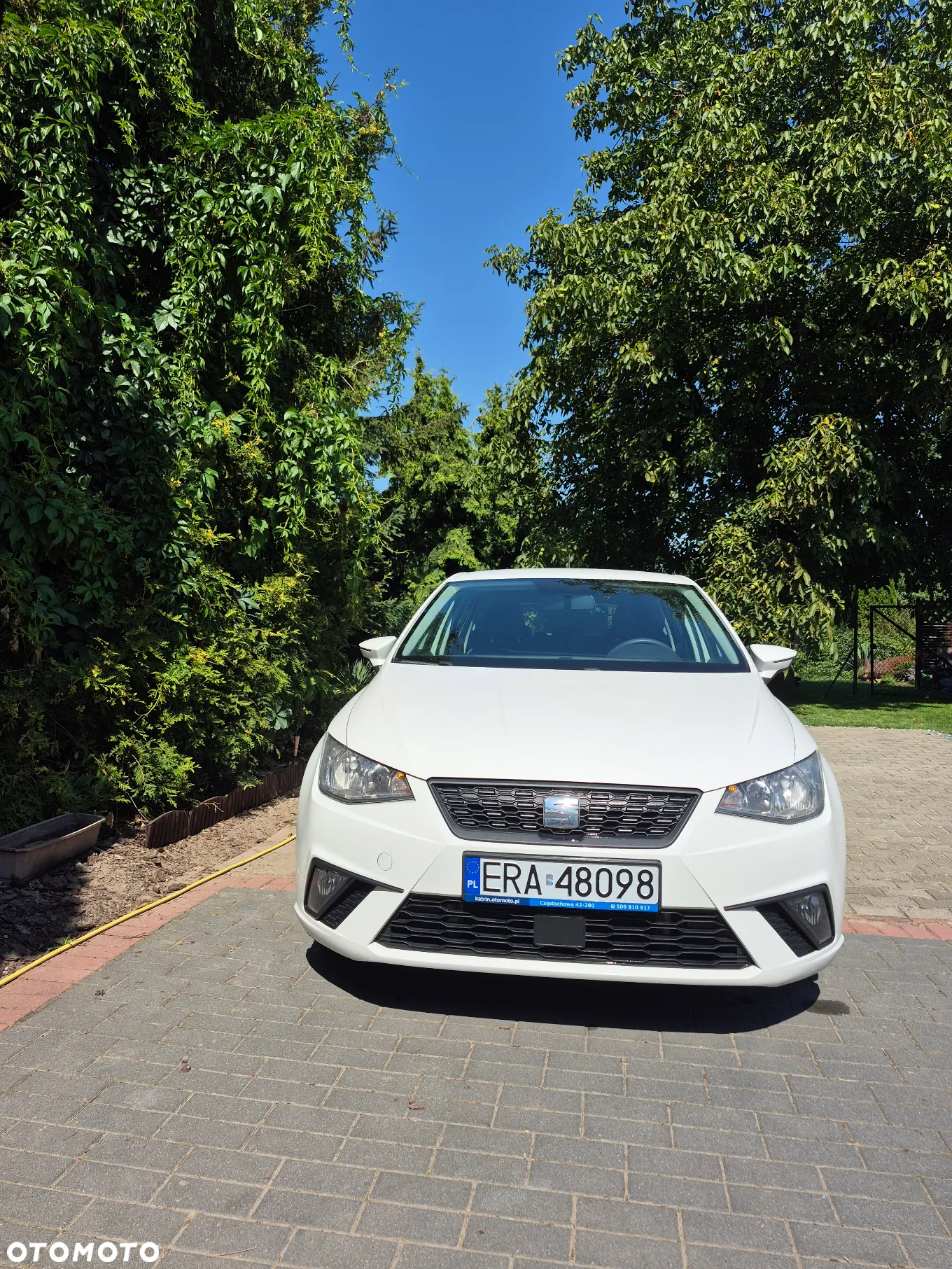 Seat Ibiza 1.6 TDI Reference - 5