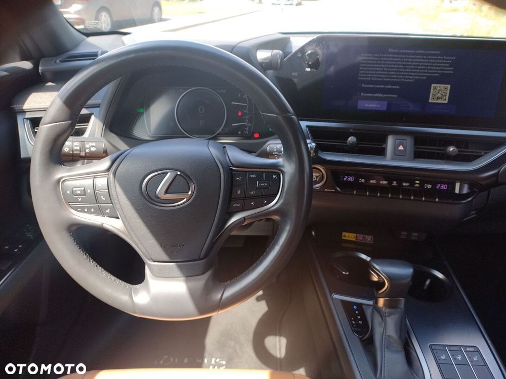 Lexus UX 250h GPF F Sport Design 2WD - 14