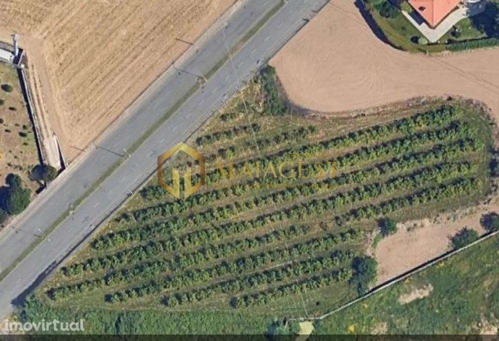 Terreno para construção de prédios em Gueifães - Grande imagem: 2/6