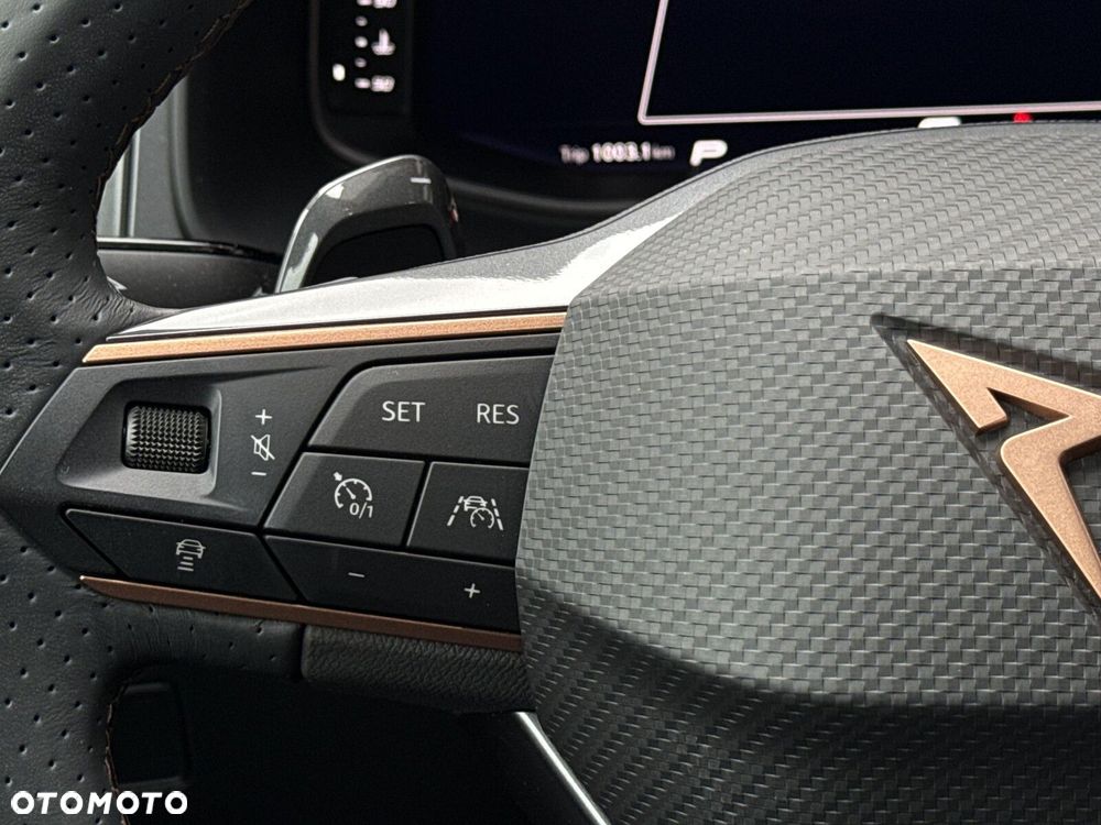 Cupra Ateca 1.5 TSI DSG - 15