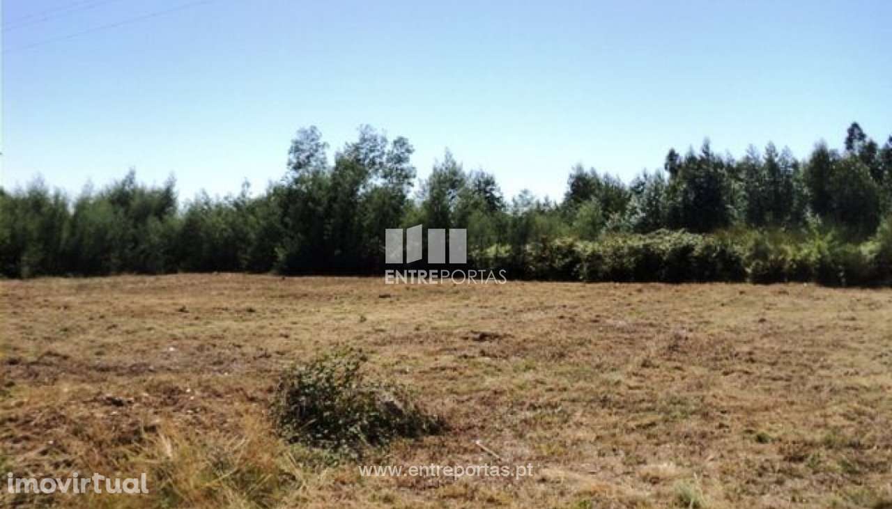Venda de Terreno de construção, Vila de Punhe, Viana do Castelo - Grande imagem: 2/31
