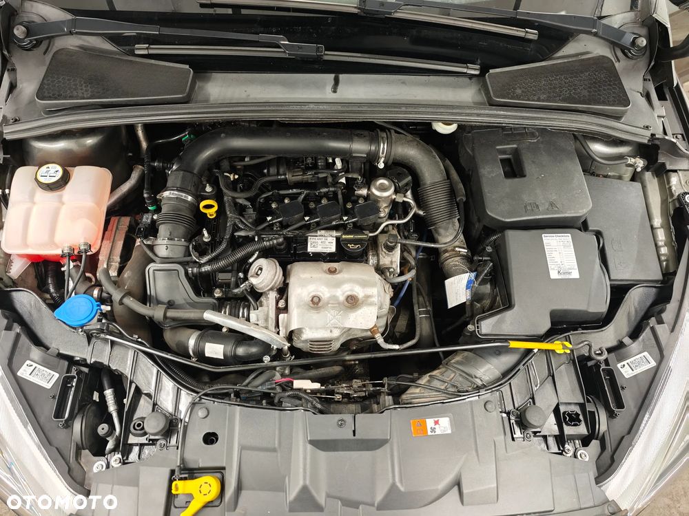Ford Focus - 26