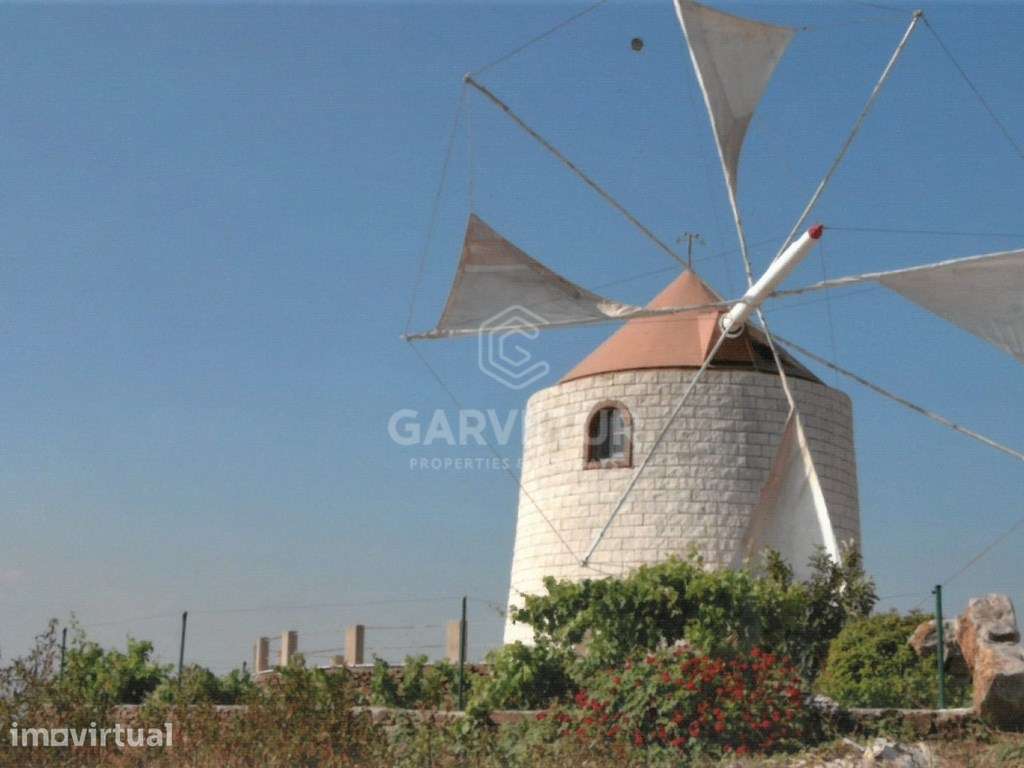 Moinho centenário com vista sobre a serra, Santa Catarina, Algarve - Grande imagem: 2/18