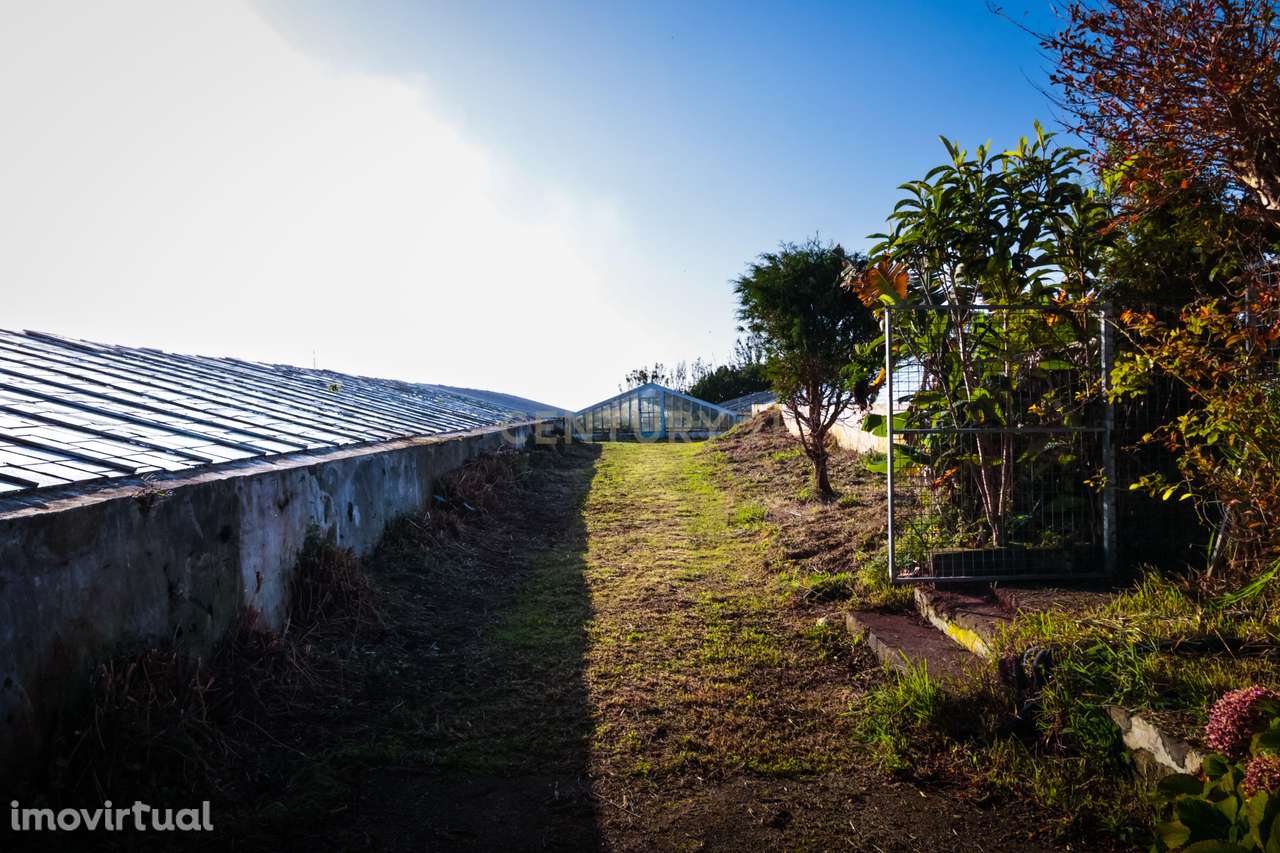 Propriedade Única com Estufas de Ananases e Potencial Urbano — Abelhei - Grande imagem: 3/27