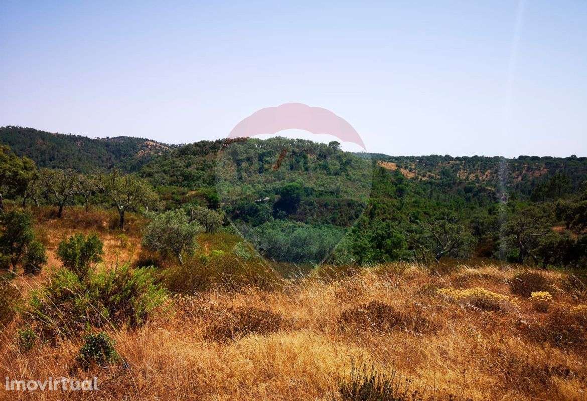 Terreno T0 para venda - Grande imagem: 4/26