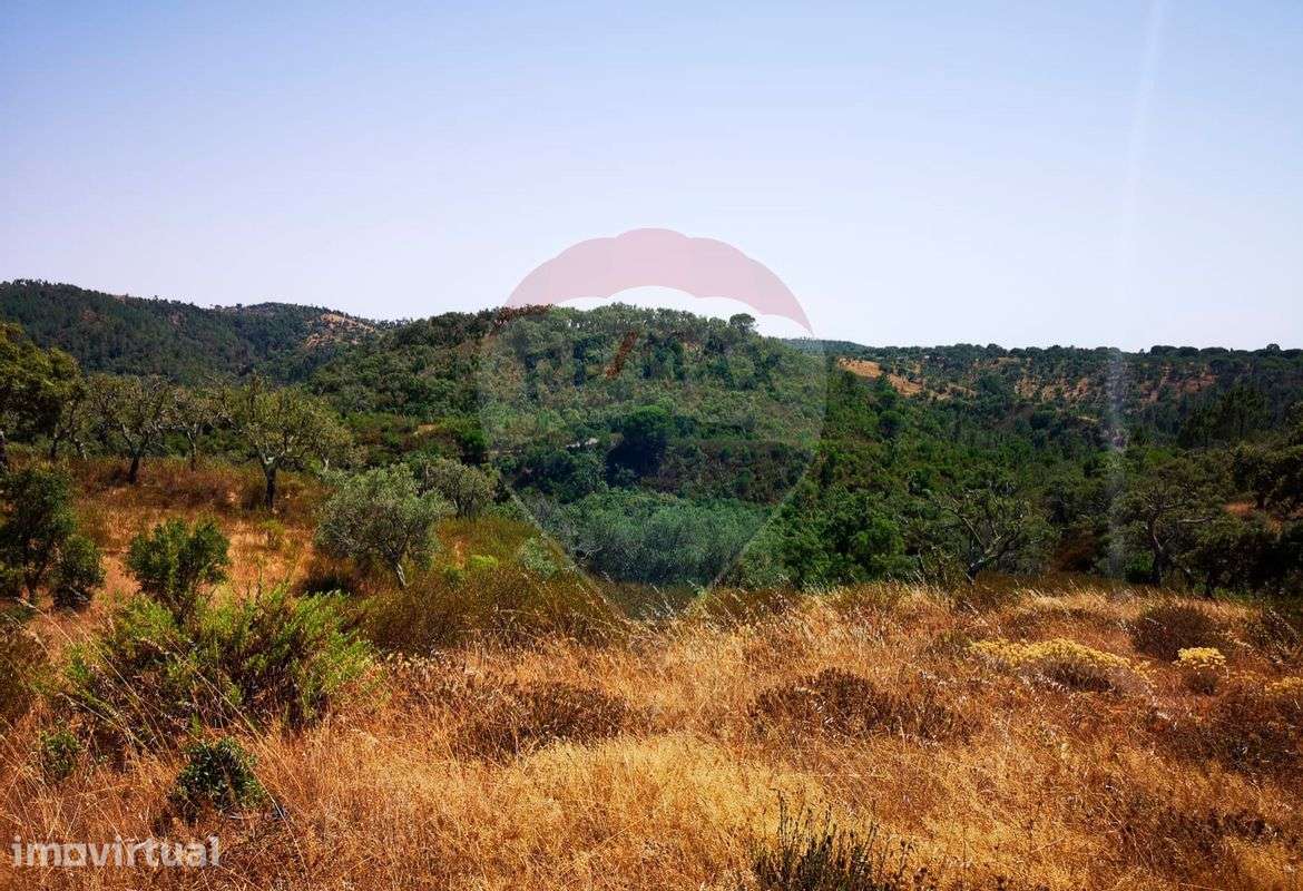 Terreno T0 para venda - Grande imagem: 4/26