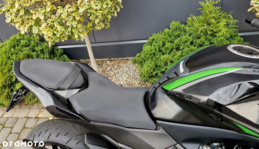Kawasaki Z - 17