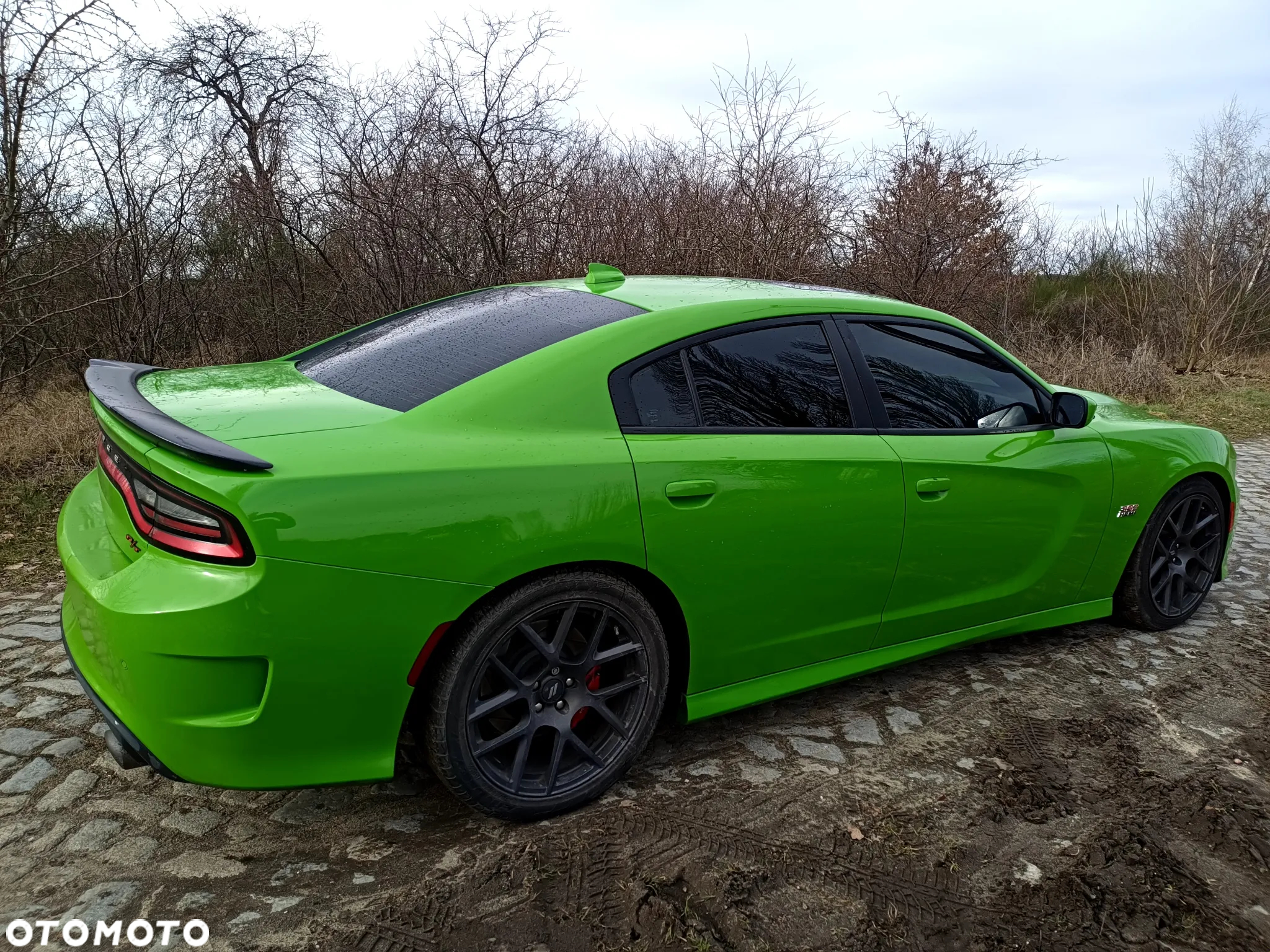 Dodge Charger 6.4 Scat Pack - 3