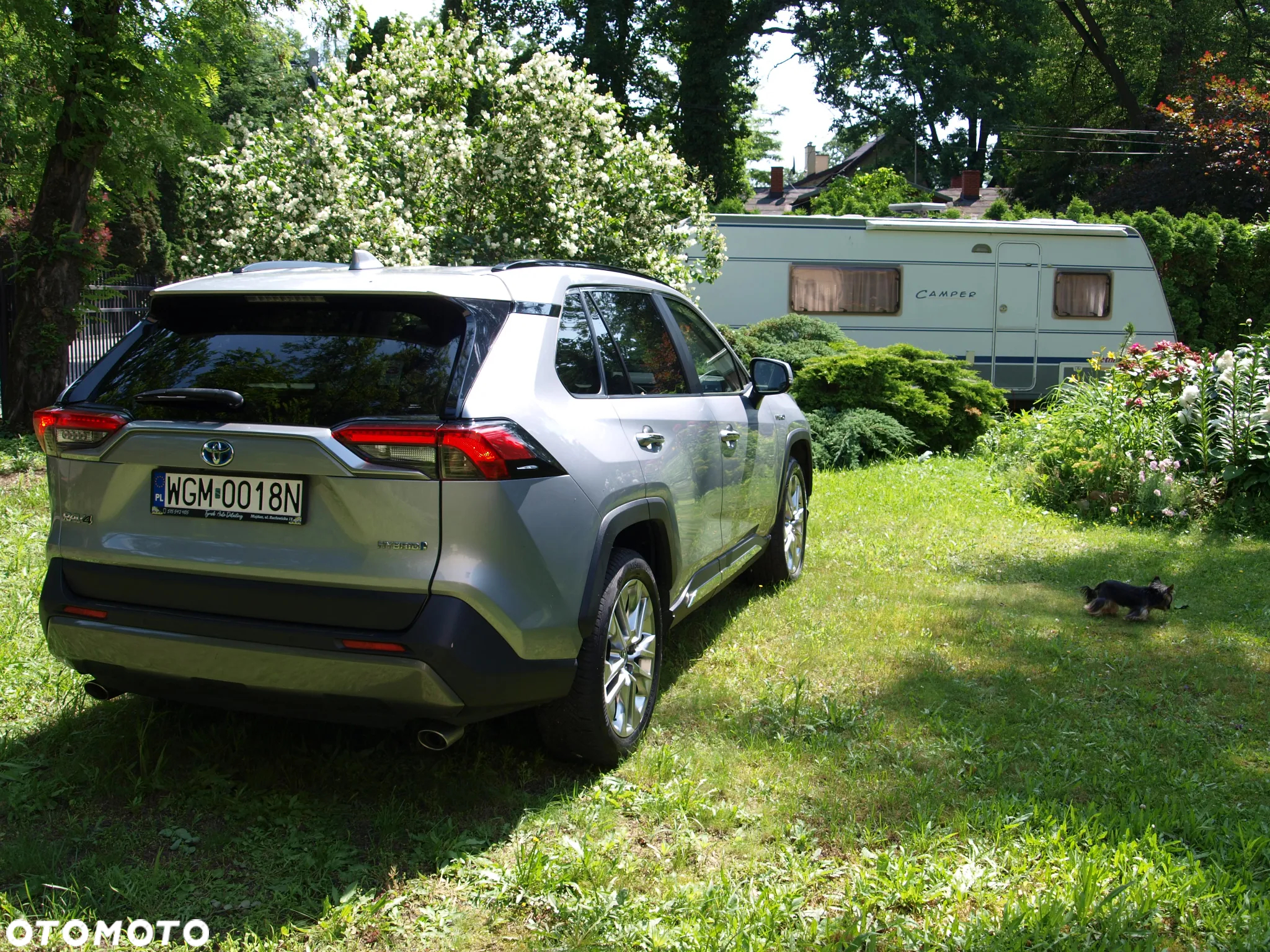 Toyota RAV4 2.5 Hybrid Executive 4x2 - 4