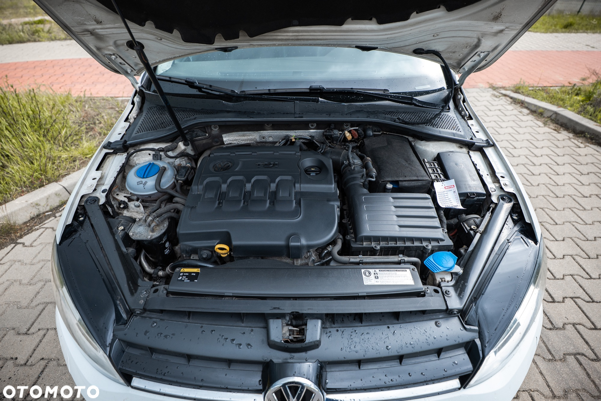 Volkswagen Golf - 14