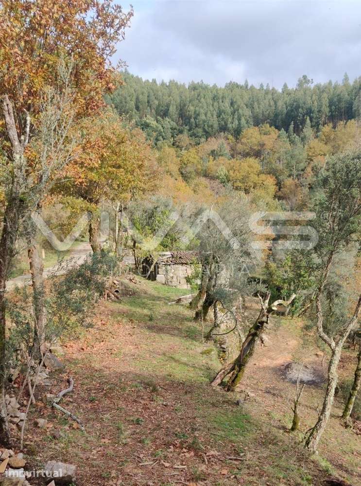 Moradia para Restaurar T1 Venda em Valdosende,Terras de Bouro - Grande imagem: 3/60